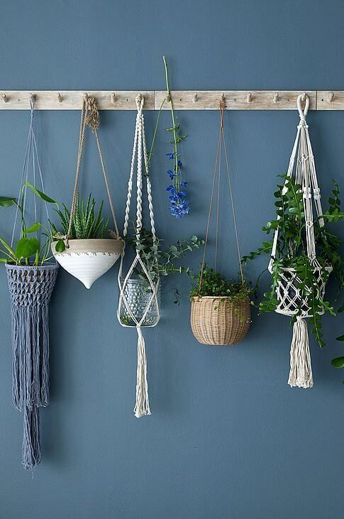 Mon jardin suspendu en macramé Mon jardin suspendu en macramé