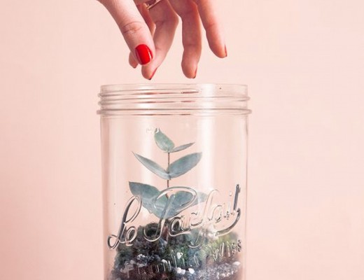 Mon terrarium détox Mon terrarium détox