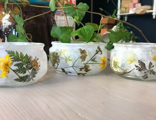 Laisses ces fleurs pressées t'éclairer Laisses ces fleurs pressées t'éclairer