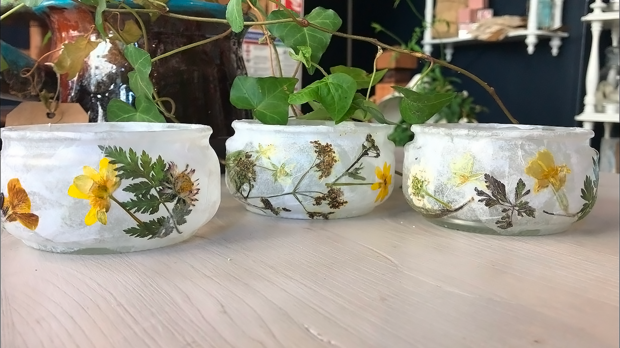 Laisses ces fleurs pressées t'éclairer Laisses ces fleurs pressées t'éclairer