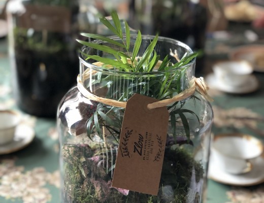 Atelier terrarium