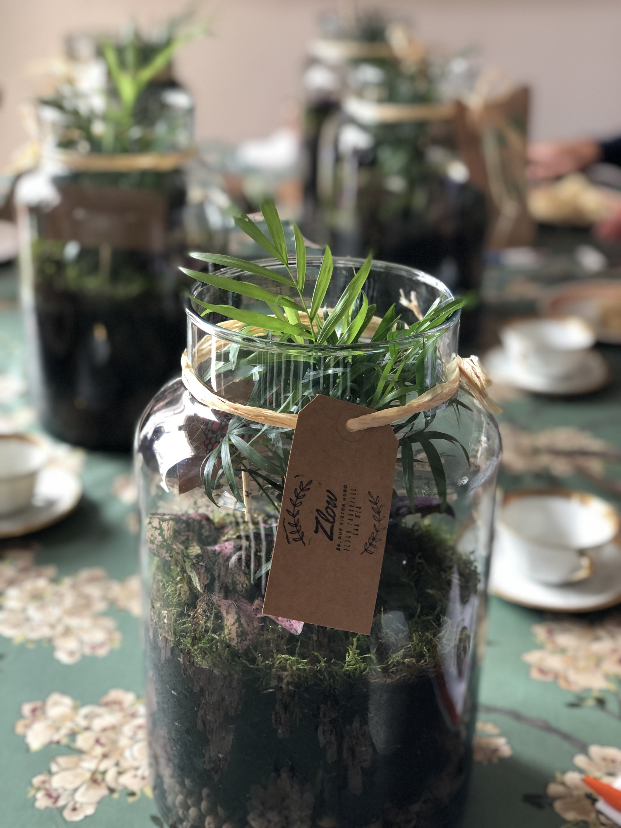 Atelier terrarium