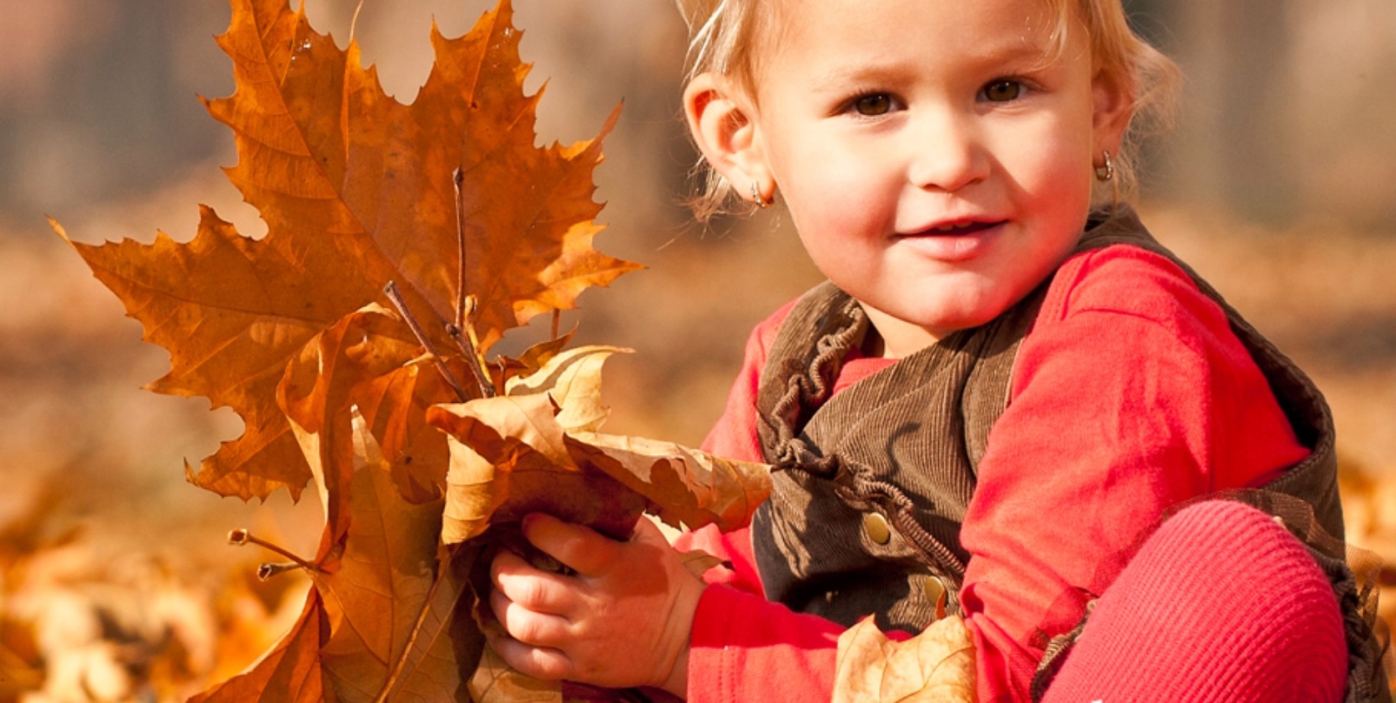 Les Petits Explorateurs de la Forêt (4/6 ans) Les Petits Explorateurs de la Forêt (4/6 ans)