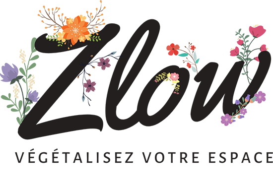 Zlow : Zéro Déchet et Slow Life