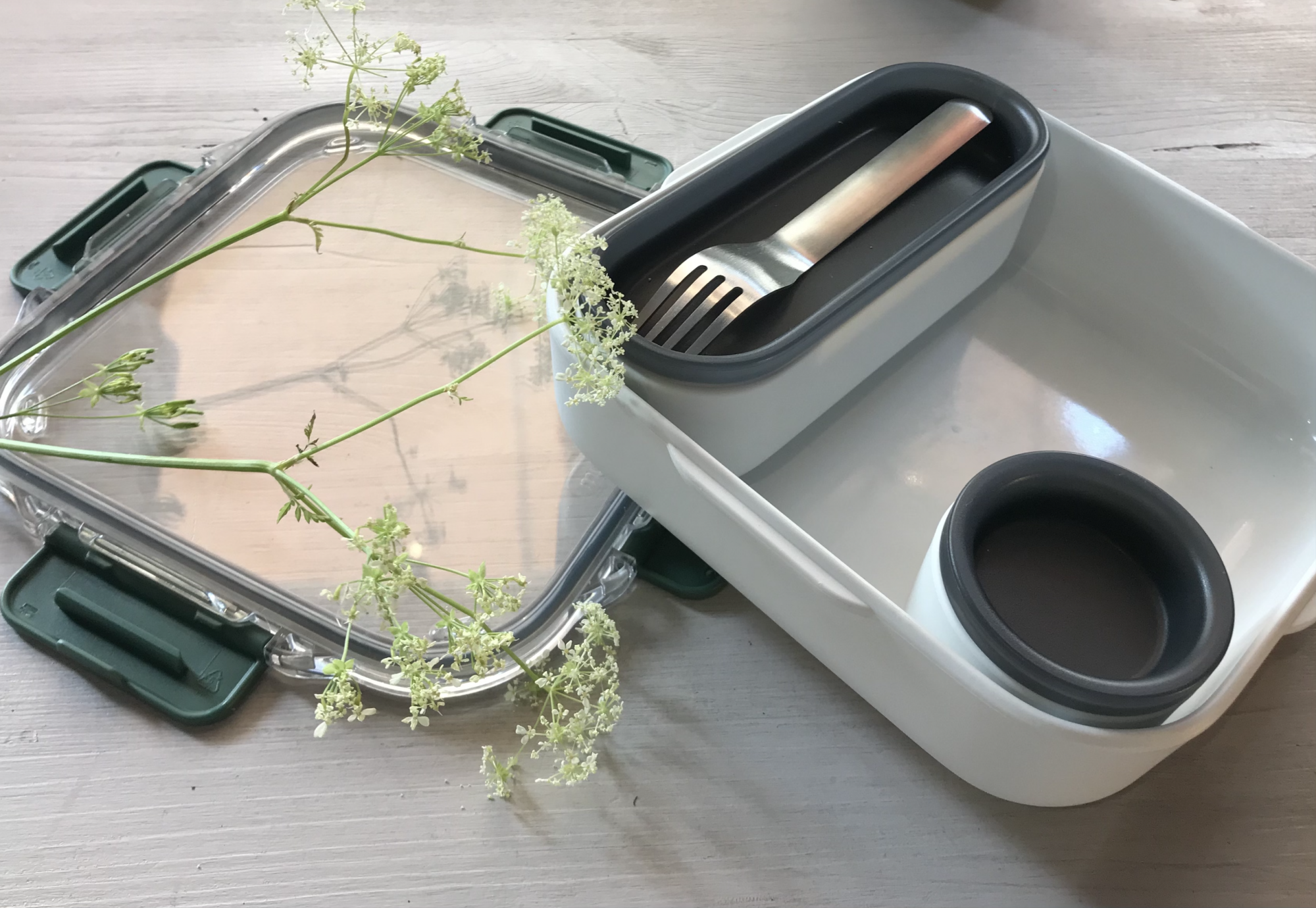 Lunch Box Lunch Box