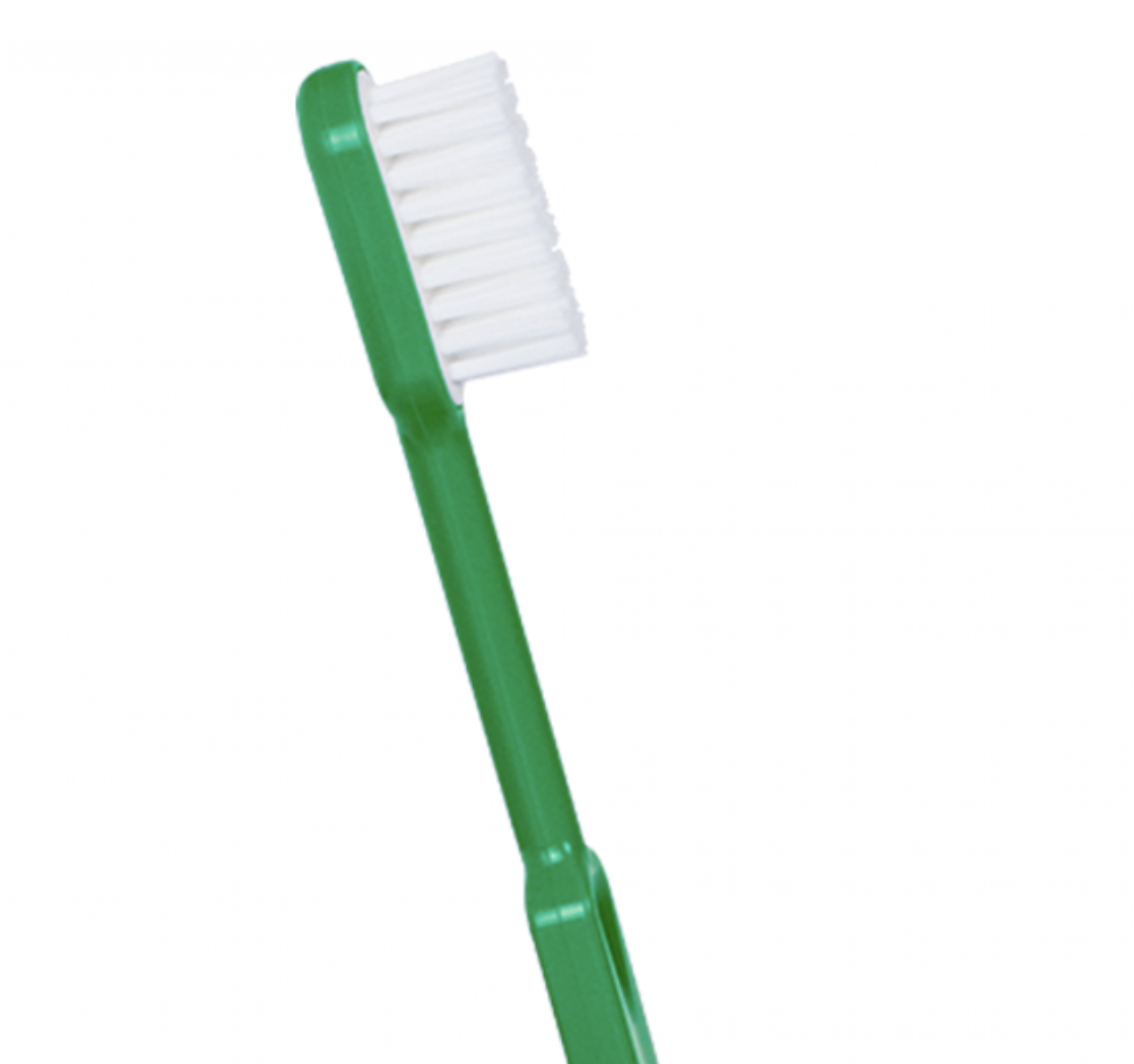 Mon frotte dents ! Mon frotte dents !