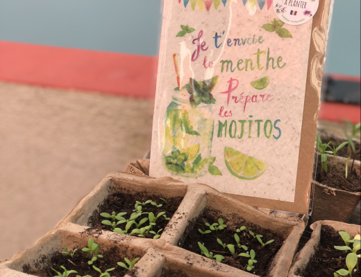 Je t'envoie la menthe prépare les Mojitos Je t'envoie la menthe prépare les Mojitos